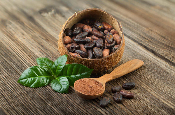 What Is Ceremonial Cacao? From Mystical Roots To Modern Popularity 