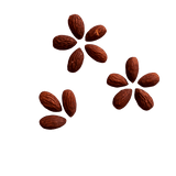 Almonds Tamari in flower pattern.