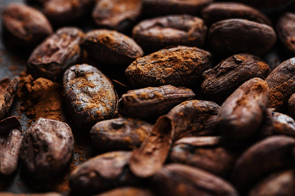 Cacao beans up close