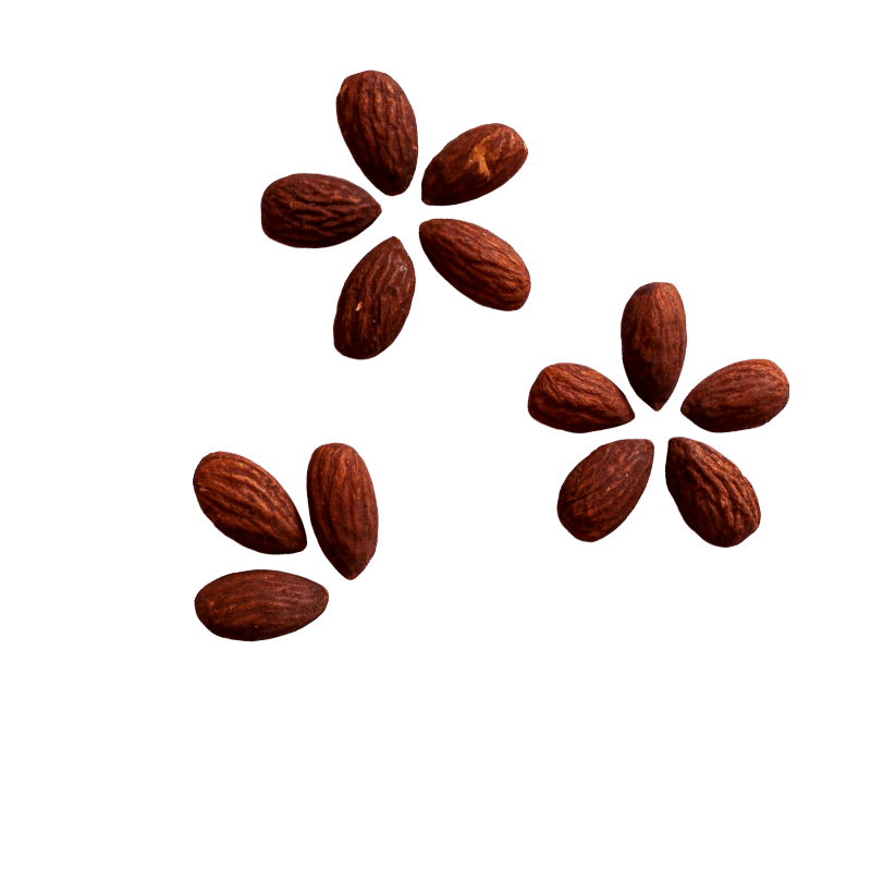 Almonds Tamari in flower pattern. 