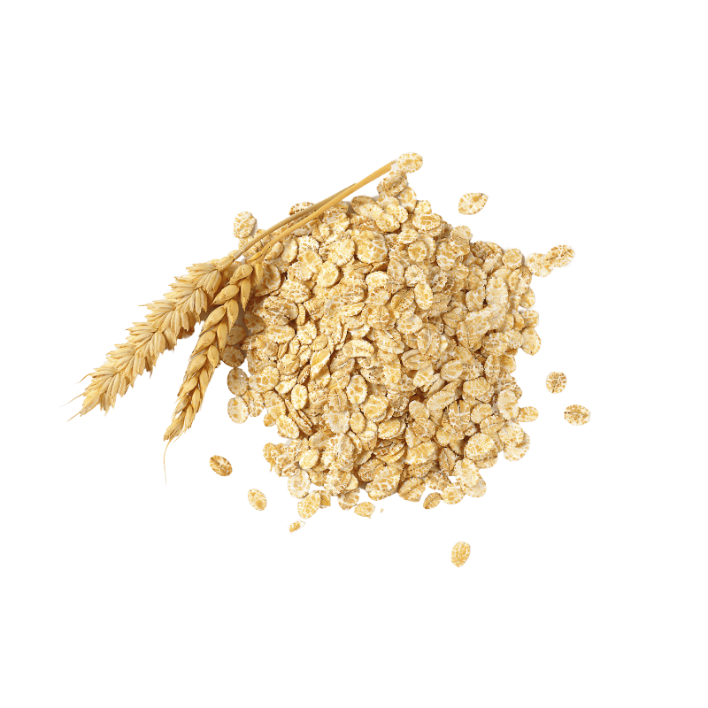 Small mound of Rolled Oats with wheat stalks.