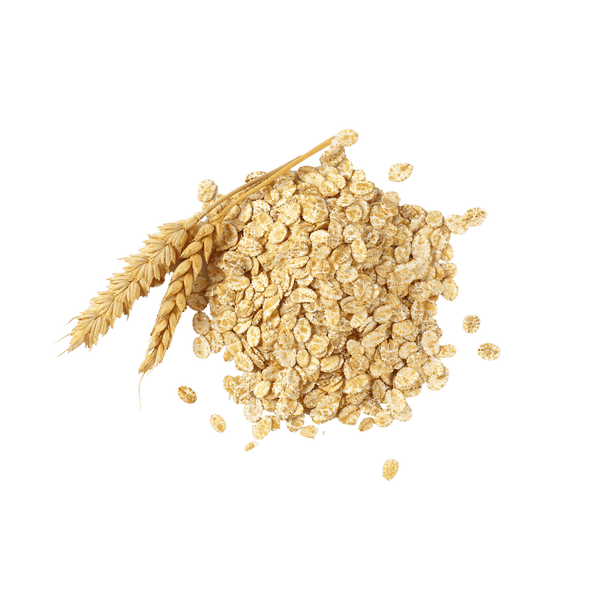 Organic Rolled Oats, Buy Online